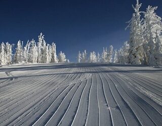Fresh Corduroy