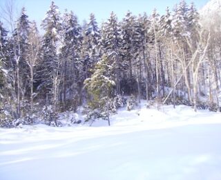 The Gift of the Snow Day