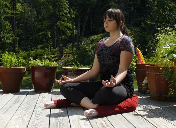 Yogi Bolster