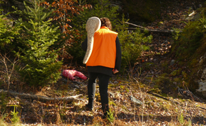 Dear Hunters