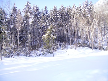 The Gift of the Snow Day